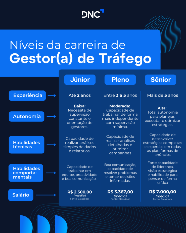 Infográfico detalhando os níveis de carreira de um gestor(a) de tráfego pago. 